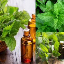 Tinh dầu tự nhiên