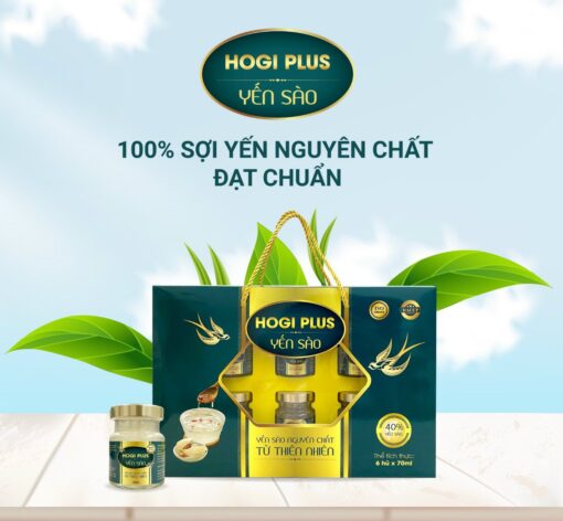 Yến sào Hogi plus