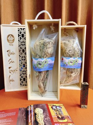 Thiên sơn tuyết liên hoa hộp biếu tặng